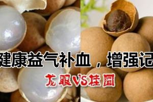 了解桂圓和龍眼的區別？到底哪一個更健康