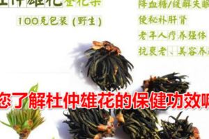 您了解杜仲雄花的保健功效嘛？