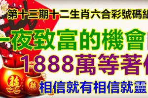 第十三期十二生肖六合彩號碼組合。一夜致富的機會，大筆錢等著你！相信就有相信就靈！