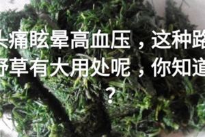 頭痛眩暈高血壓，這種路邊野草有大用處呢，你知道嗎？