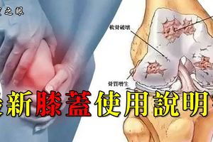 「收藏」最新膝蓋使用說明書，記得收藏！