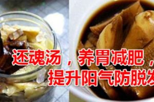 夏季高溫身邊的還魂湯，養胃減肥，提升陽氣防脫發
