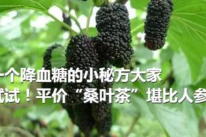 一個降血糖的小秘方大家可以試試哦！平價「桑葉茶」堪比人參？
