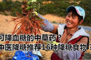 可降血糖的中草藥？中醫降糖推薦16種降糖食物？