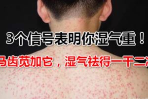 3個信號表明你濕氣重！別再傻傻拔罐了，馬齒莧加它，濕氣祛得一干二淨