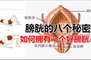 膀胱的八個秘密：如何擁有一個好膀胱？