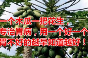 一個木瓜一把花生，專治胃病，用一個好一個，胃不好的越早知道越好！