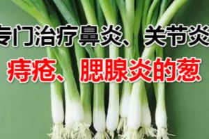 不是哪根蔥！我是這根專門治療鼻炎、關節炎、痔瘡、腮腺炎的蔥