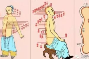 補鈣養腎、打結石、通脈美容、防輻射……給我1噸蟲草也不換