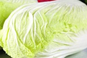 大白菜的可怕！您絕對想不到，為了您愛的人，請記住！