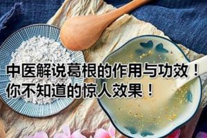 中醫解說葛根的作用與功效！你不知道的驚人效果！