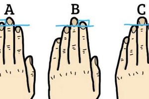 准確率達99.9%！只要伸出左手看看無名指，你就可以一眼地全面看透一個人的性格！