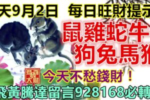 今天9月2日：每日旺財提示：鼠雞蛇牛，狗兔馬猴。今天不愁錢財！飛黃騰達留言9288168必轉！