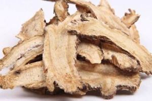 可以活血化瘀的九大中藥