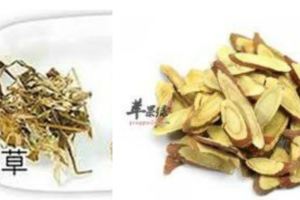 魚腥草和甘草能一起喝,魚腥草甘草水的