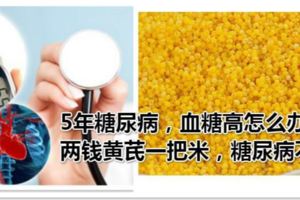 5年糖尿病，血糖高怎麼辦？兩錢黃芪一把米，糖尿病不攻自破