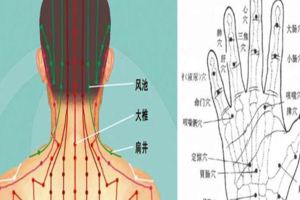 平時多按一按這些穴位防治疾病，藥師教你兩分鐘，調理你的頸椎病、關節炎等疾病
