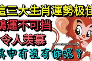 鴻運不可擋，這三大生肖運勢極佳，令人羨慕，其中有沒有你呢？