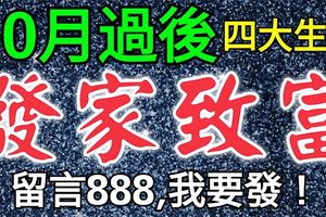 10月過後能夠發家致富，走大運的四個生肖！