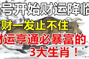 7號開始財運降臨，橫財一發止不住，財運亨通必暴富的3大生肖！