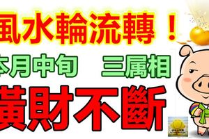 風水輪流轉！本月中旬橫財不斷的生肖屬相！