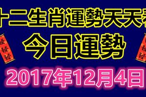 十二生肖運勢天天看，今日運勢：12月4日