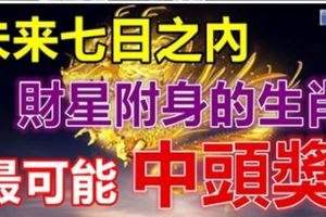 未來七日之內，有意外之財的生肖！財星附身！