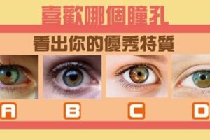 歐美網友瘋傳！選一個你喜歡的瞳孔～看出你的優秀特質！