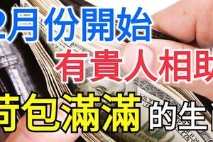 2月份開始有貴人相助，荷包滿滿的三個生肖！