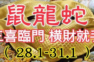 1月最後4天，生肖鼠龍蛇的人，三喜臨門！橫財就手！（28.1-31.1）