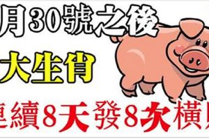 家中有此8大生肖，30號之後連續8天發8次橫財，接住了！【8888】