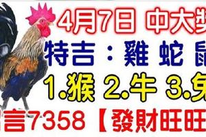 4月7日雞、蛇、鼠、猴、牛、兔！中大獎！請留言7358【發財旺旺】