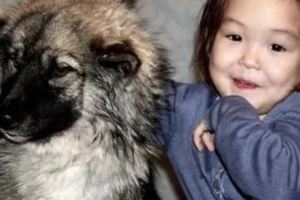 俄羅斯三歲女孩和愛犬失蹤，三周後小狗獨自咬著女孩的髮帶回來……