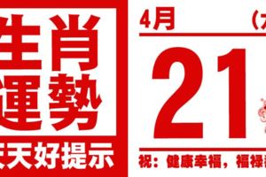 生肖運勢，天天好提示（4月21日）