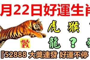 4月22日好運生肖，龍騰虎躍接福氣！【虎+猴+？+龍+？+豬】『52888大獎連發好運不停！』