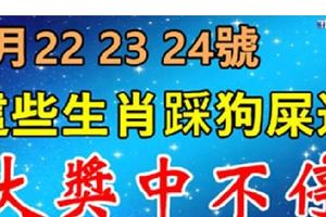 4月222324號，這些生肖踩狗屎運！橫財大發800萬