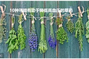 10種可能有助於降低高血壓的草藥