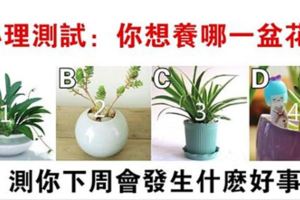 心理測試：你想養哪盆花？測你下周會發生什麼好事！