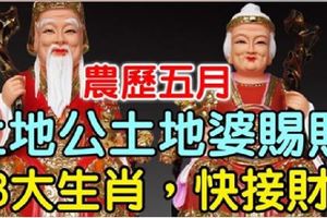 農曆五月，土地公土地婆賜財，【8大生肖，快接財】