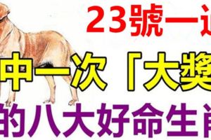 23號一過，這8大好命生肖，必有天降橫財，中一次「大獎」！