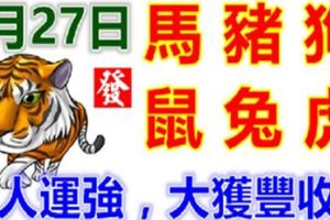 6月27日生肖運勢[馬、豬、狗大吉]