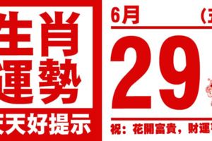 12生肖天天生肖運勢解析（6月29日）