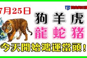 7月25日生肖運勢_狗、羊、虎大吉