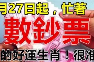 7月27日起，財富大增，忙著數鈔票的生肖！