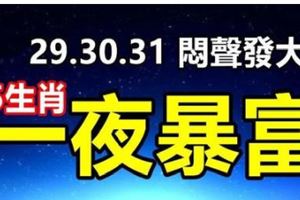 8月29，30，31悶聲發大財，橫財手到擒來，再窮也能一夜暴富5生肖