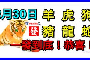 8月30日生肖運勢_羊、虎、狗大吉