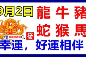 9月2日生肖運勢_龍、牛、豬大吉