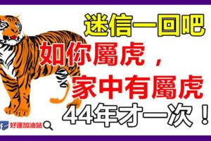 如果你不屬虎，你最愛的人屬虎，或家中有屬虎，44年才一次！迷信一回吧！