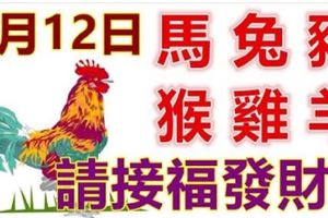 9月12日生肖運勢_馬、兔、豬大吉