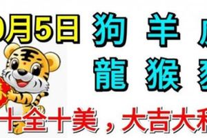 10月5日生肖運勢_狗、羊、虎大吉